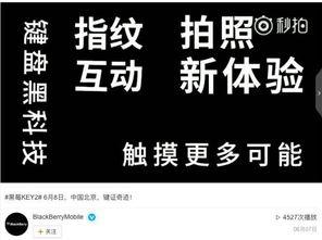 爆料视频快闪,揭秘爆料视频背后的神秘力量